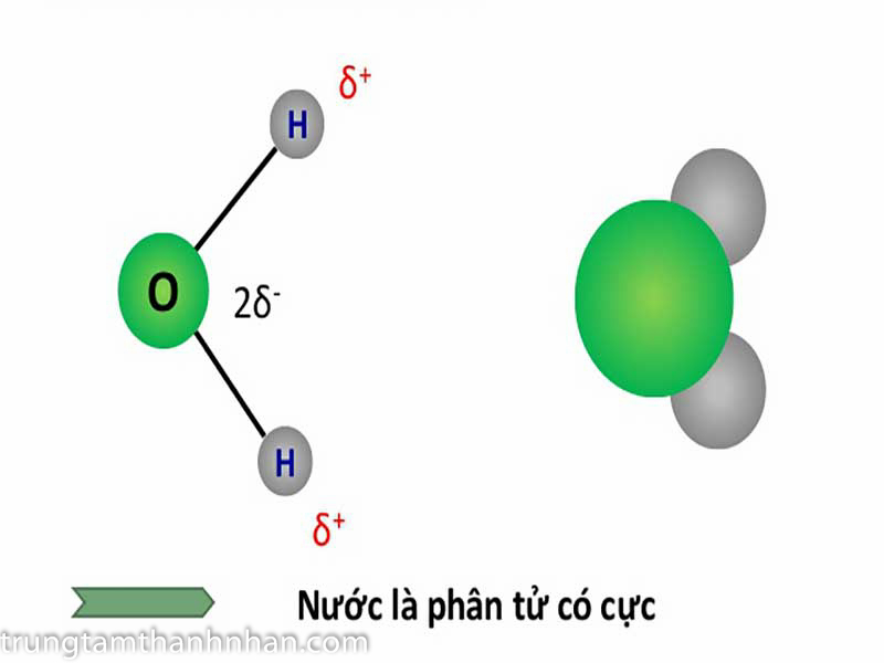 Khối lượng riêng trọng lượng riêng của H2O hóa học 8