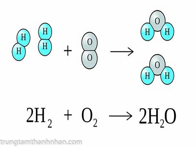 Phân tử H2O hóa học lớp 8
